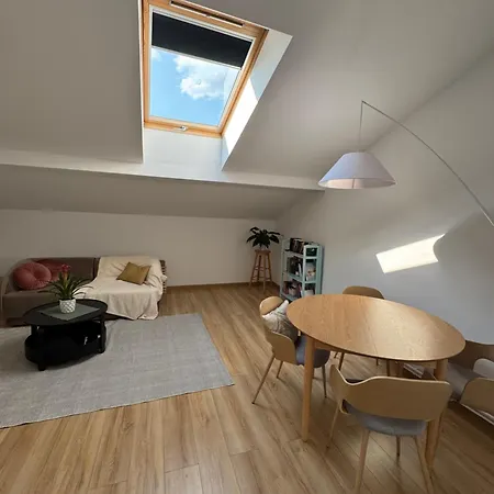 Charming Top-floor In Cozy & Newly Refurbished